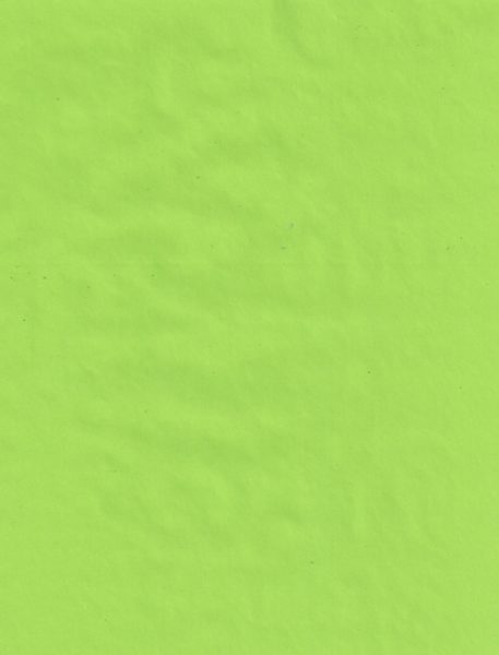 Citrus Solid Matte Giftwrap