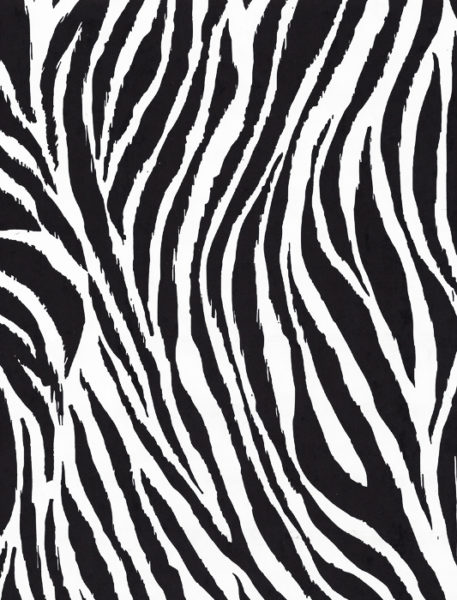 Zebra Gift Wrap